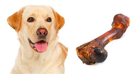  Bones that will get your dogs mellow and not, well, ""high""