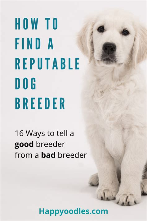  Breeder Reputation is essential