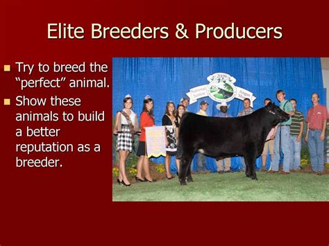  Breeders Reputation The reputation of the breeder you choose plays a significant role in determining how much you