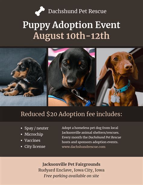 Brighton small puppies Puppies!! Adoption event!! Friday and Sunday October 20th and 22nd