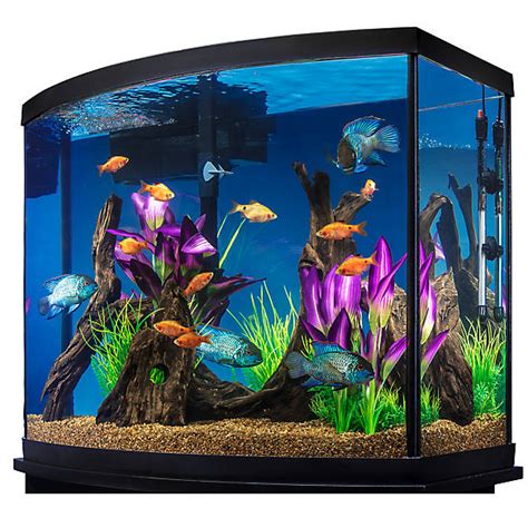  Bristol, TN 38 gallon Fish tank Aquarium