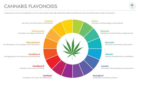  Broad-spectrum manufacturing removes most of the cannabis plant compounds, while other chemical compounds, including CBD, remain