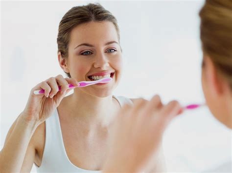  Brush their teeth every day , bathe them every few months, and trim their nails as needed
