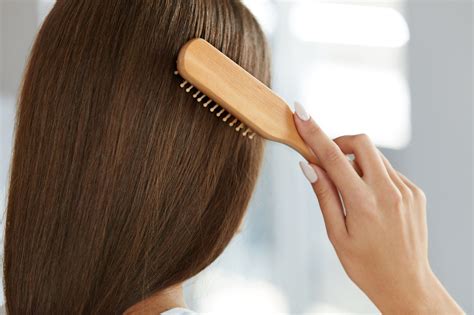  Brushing using a slicker brush or comb will also help in maintaining the fur healthy and free of dirt or loose hair