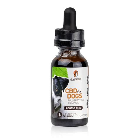  But by following our guide, trying out our top-rated CBD oils for dogs, and doing your research based on our helpful buying tips, you can be sure to find a pet-friendly, organic CBD oil designed to keep your furry friend feeling happy and healthy for years to come