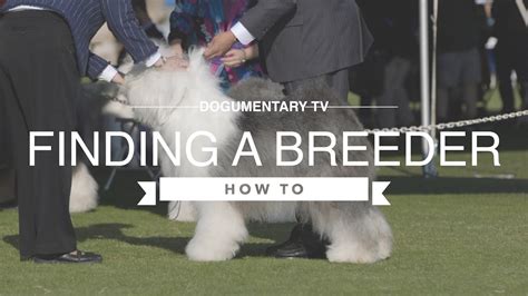  But even though they are not many, you must be particular about picking a breeder with the best practice