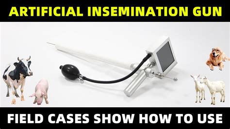  But if traditional insemination is not possible for whatever reason, why not ask your vet about artificial insemination? Artificial insemination is quite common for Bulldogs