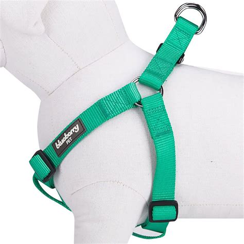  But if you are someone who loves different colored harnesses, the Balance may not suit — check out the Freedom