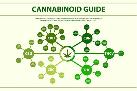  But it is rare for a dog to consume cannabinoids CBD more than the safety margin, which is more than 30mg for each kg of body weight
