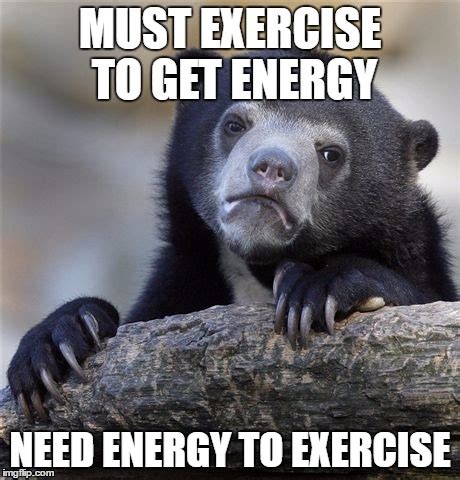  But they are also high energy and need a lot of exercise