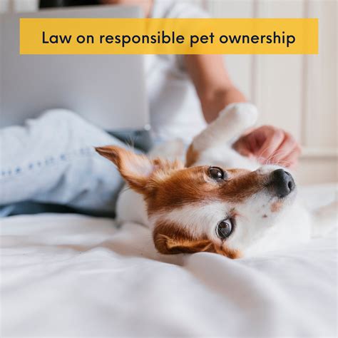  By budgeting for these costs and being a responsible pet owner, you can ensure that your pup has everything they need to thrive