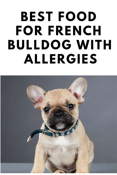  By choosing a dog food specifically designed for French Bulldogs with allergies, you can help alleviate their allergy symptoms and provide them with a diet that supports their overall health and well-being
