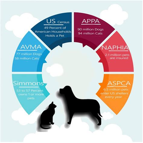  By evaluating these ranking factors, pet owners can make informed decisions when selecting the best CBD oils and treats for their dogs with seizures and epilepsy, ensuring the highest quality and effectiveness for their furry companions