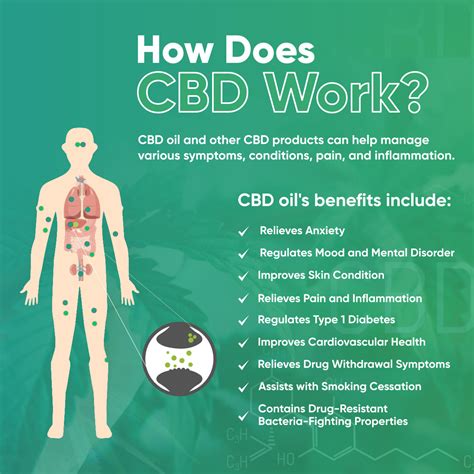  By interacting with the endocannabinoid system in their bodies, CBD oil can provide analgesic effects, helping to ease their pain and make them more comfortable