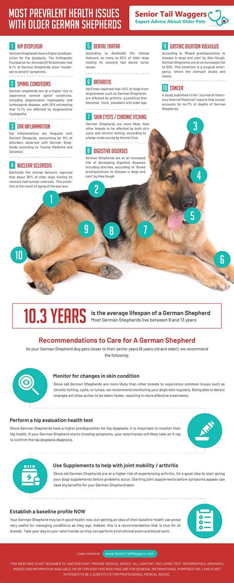  By knowing about health concerns specific to German Shepherd Dogs, we can tailor a preventive health plan to watch for and hopefully prevent some predictable risks