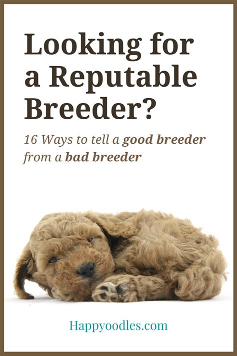  By working with a reputable breeder, you can be sure that you are getting a healthy puppy that has been well-cared for