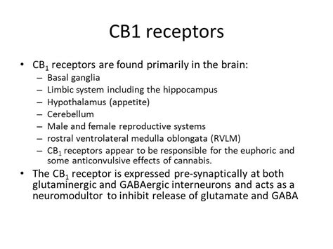  CB1 receptors are found in the hypothalamus; the portion of the brain responsible for controlling appetite
