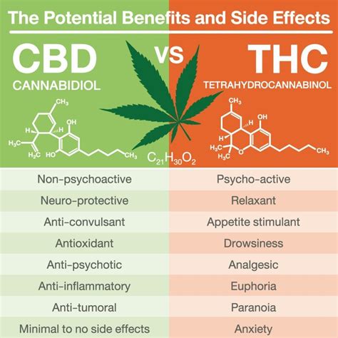  CBD, however, does not produce an intoxicating effect; instead, it offers potential therapeutic and health benefits, though research into its potential medical applications is ongoing