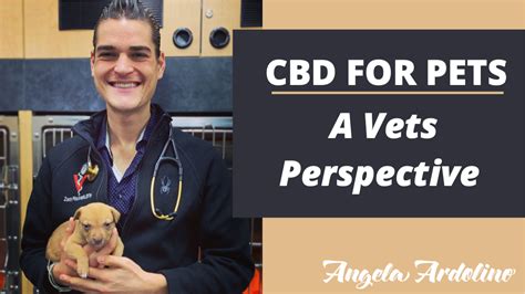  CBD Dog Health products are formulated specifically for pets by Angela Ardolino, a medical cannabis expert, under the advisement of chemists and veterinarians