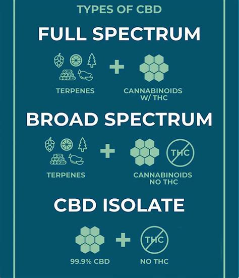  CBD Products With Healthy Fats Recognizing the diverse needs and preferences of dog owners, their extensive product range is designed to cater to various requirements