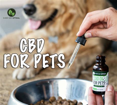  CBD and Pets: A Taboo Topic for Vets The other day I was walking in town and passed by a pet store that was advertising CBD for pets, making claims about its usefulness in treating a host of ailments: pain, anxiety, arthritis, allergies, inflammation, and more