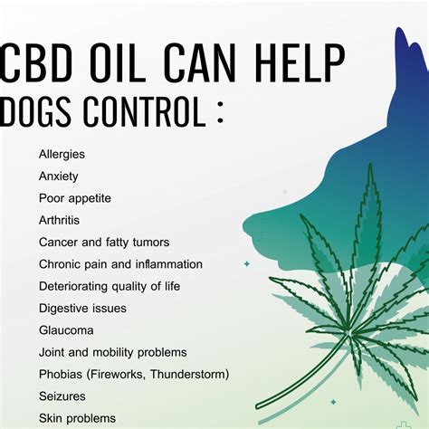  CBD can be a great addition for dogs throughout every stage of the lifecycle