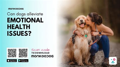  CBD can help dogs alleviate anxiety by promoting a sense of calm, making stressful situations more manageable
