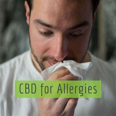  CBD for Allergies — Start with 9 — 12 mg daily