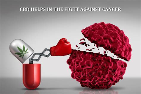  CBD for Cancer — For best results, administer 50 — mg daily