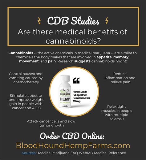  CBD for humans and animals is regulated differently