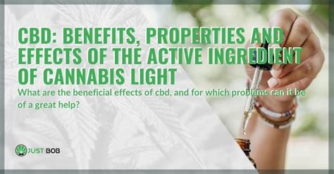  CBD has a number of beneficial properties that make it a great, non-toxic choice for pet health that can help regulate the endocannabinoid system and promote overall health and well-being