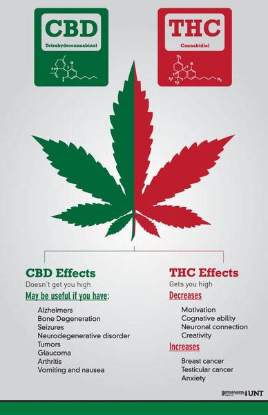  CBD has also been shown to reduce blood pressure, help establish normal heart rhythms, and act as an anti-inflammatory