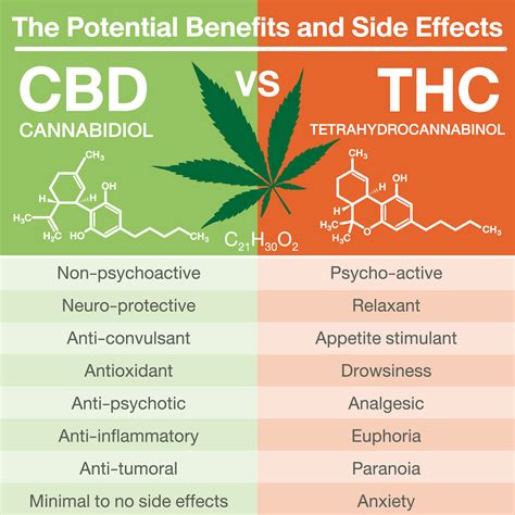  CBD is a non-psychoactive compound, meaning it does not induce a "high" associated with marijuana use