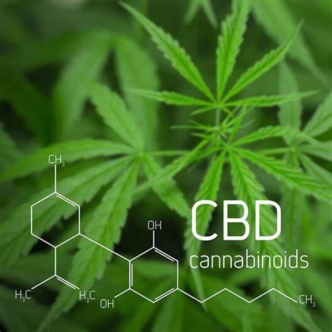  CBD is short for cannabidiol, which is a naturally-occurring substance found in the cannabis plant