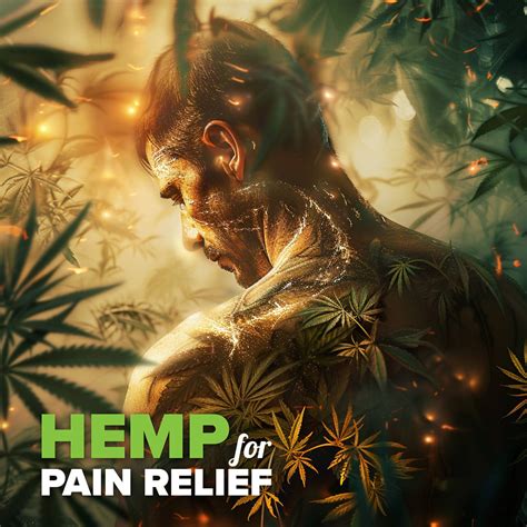  CBD manages pain by altering the way the central nervous system communicates the sensation of pain to the brain