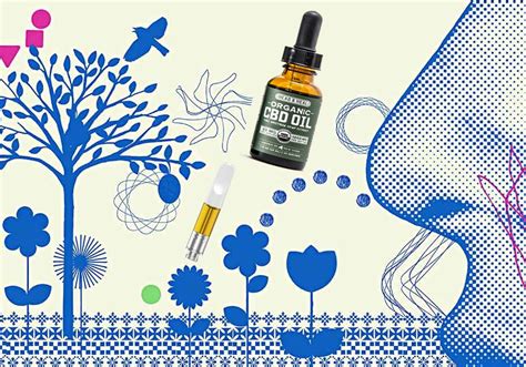  CBD may also help ease skin-related allergy symptoms via its anti-inflammatory effects