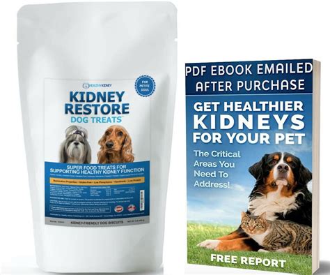  CBD oil can neither treat nor prevent kidney disease in dogs