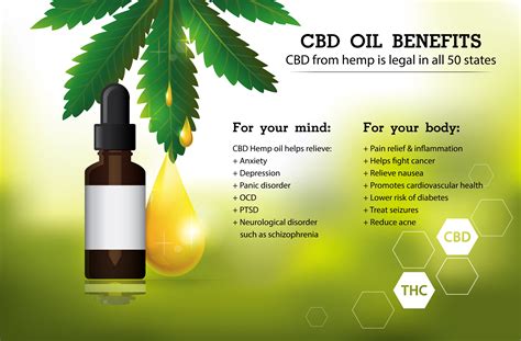  CBD oil can offer several benefits that help alleviate their symptoms and improve their overall well-being