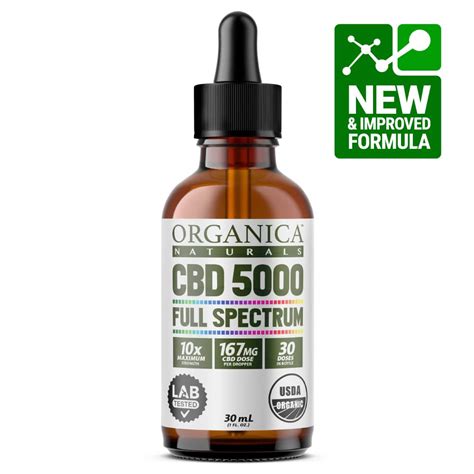  CBD oil is a concentrated extract of this compound that is used for a variety of health and wellness purposes