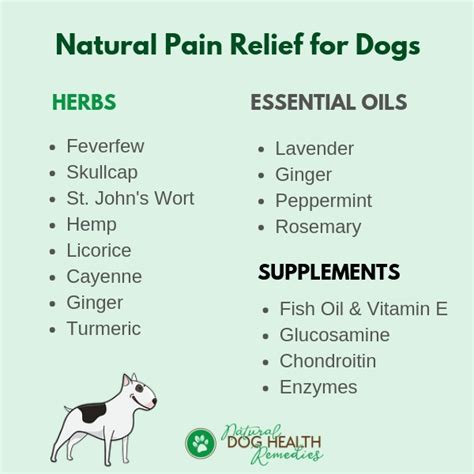 CBD oil is often used as a natural remedy to treat osteoarthritis pain in dogs and alleviate the inflammation caused by the condition