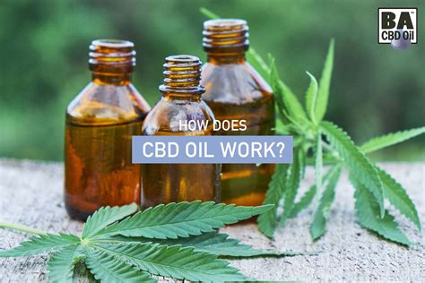  CBD oil works fast and is easy to purchase and take, especially when the oil is flavored