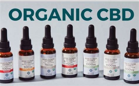  CBD oils and tinctures come with a measured dropper to help you give a precise dose to your dog, either by putting drops on their tongues, against their cheeks, or in their food
