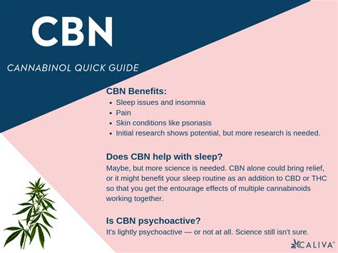  CBN, or cannabinol, is a cannabinoid that has been increasingly recognized for helping keep pets calm and relaxed