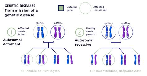  CEA is caused by a recessive gene defect and can be a mild condition or cause blindness