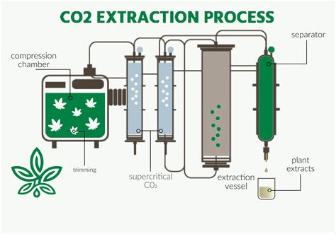  CO2 extraction is a clean process that results in pure, hemp oil with a high yield of CBD