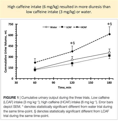  Caffeine acts as a diuretic, increasing urine output