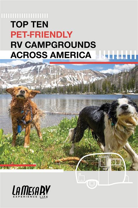  Camping There are plenty of pet-friendly campsites throughout the state, as well as national parks and forests that allow dogs on the trails