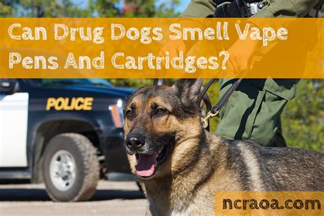  Can drug dogs smell vape carts? Theoretically, yes, drug dogs would be capable of smelling vape cartridges containing THC extract