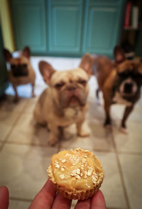  Can my Frenchie puppy have peanut butter? You can give your Frenchie dog a scoop of this super delicious treat, but make sure you buy an all-natural brand without sweeteners like xylitol