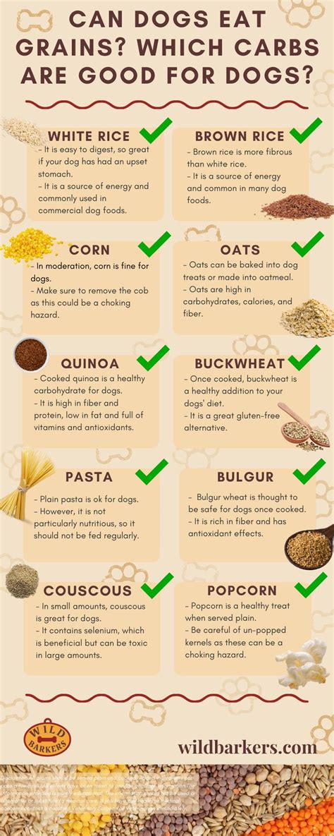  Can my Poodle eat grains? Grains are a good source of carbohydrates, proteins, and fiber, but they also contain gluten which can be hard for some dogs to digest